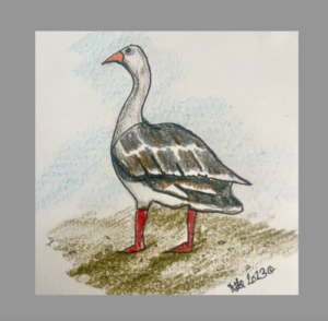 Screenshot 2023 05 30 at 12.40.20 pm